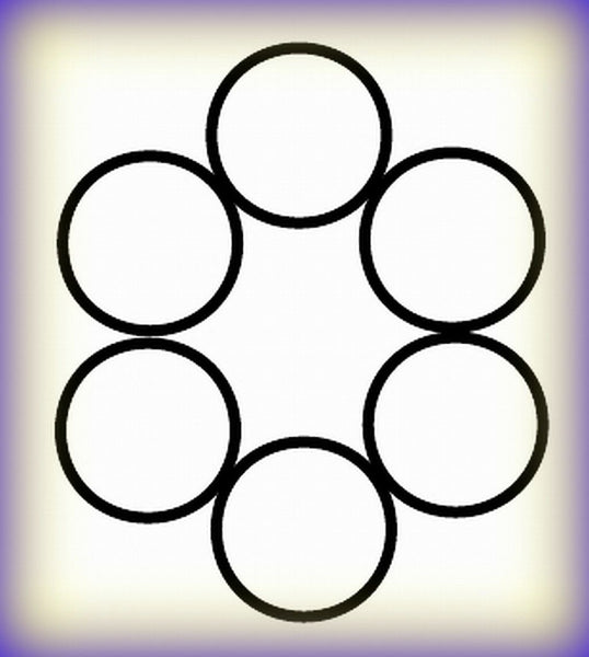 Professor Foam A-Quality Aftermarket 6 pk o-rings replaces Graco 248133