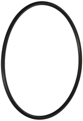 O-Ring Depot o-ring compatible with Hayward AXW542 Canisters W530 and W560